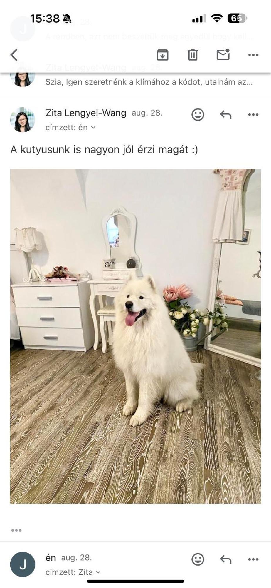 Korona Apartman セーケシュフェヘールヴァール エクステリア 写真